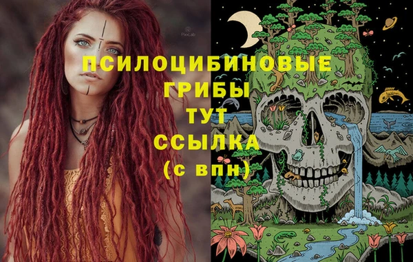 мяу мяу мука Арсеньев